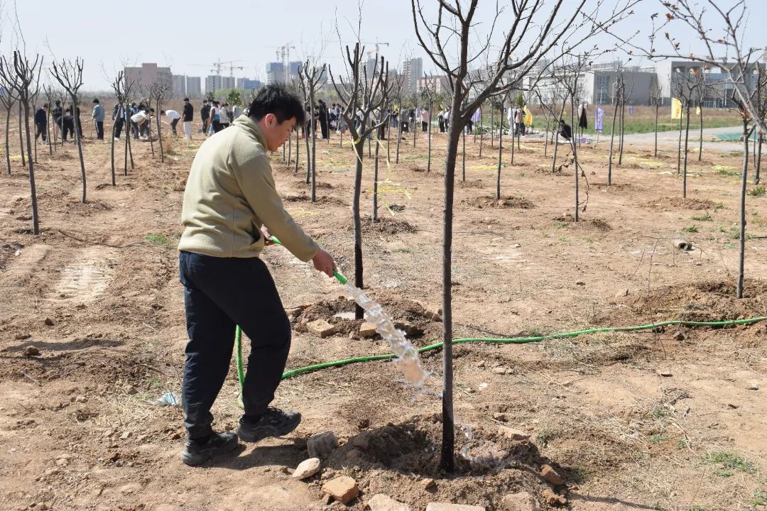 DSC_1155.JPG DSC_1155.JPG