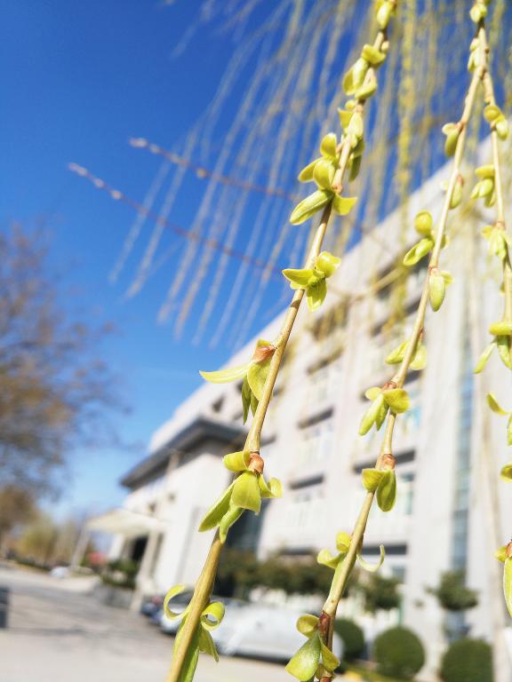 《Just meet you》-飞制2017杨乐